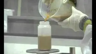 Xanzwhite 2.flv