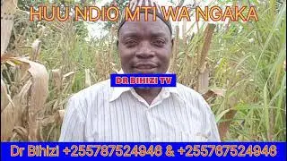 #NGAKA NI TIBA KUBWA SANA KWA AJILI YA KUUA #SUMU NA KUONDOSHA #UPELE WA AINA YOYOTE.