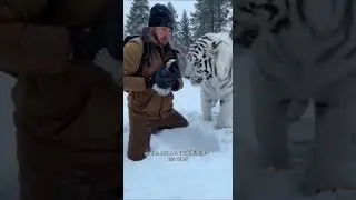 The baby almost died..#animals #ai #short #story #viral #ai #animal #wildlife #emotional #love