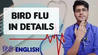 Bird flu in details | Milestone.