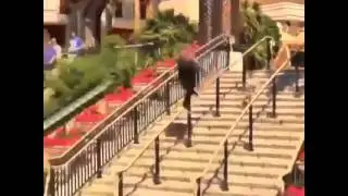 Aprenda como n&atilde;o cair de um skate