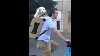 Chloe taking a Divvy bike ride!