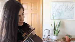 MILLER'S MAGGOT ✨ Traditional Irish jig