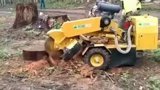 Destocador de troncos e ra&iacute;zes Vermeer SC222 (Stump grinder)