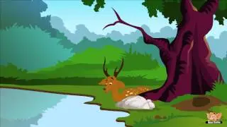 Animal Facts in Hindi - Deer