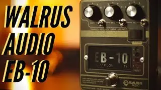 HX Stomp & The EB-10 by Walrus Audio