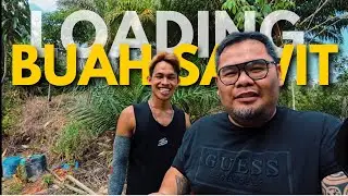 Loading Buah Sawit Sambil Berbincang Plan Konten Bersama Daddy Semitut