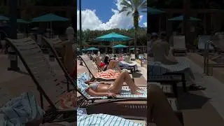 Walt Disney Dolphin Resort Pool Side! #shorts #waltdisneyworld #disney #disneyresort #epcot #orlando