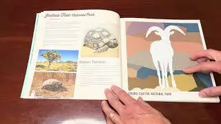 Peek Inside National Parks of North America AMAZING ANIMALS Sticker Painting Book by Logan Powell
