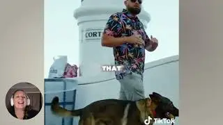 Balanced Dog Trainer Claims His Methods Are Better - Let&rsquo;s Fact Check That | Abbey Rose Reacts