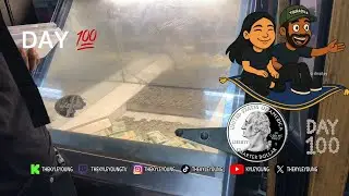 Day 100: Part 1 | 100 quarters in coin pusher game | IRL 💯🪙 | Streamer Kyle Young