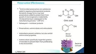 Calling Attention to Burkholderia spp., & Mitigating Risk Through a Robust Preservative System