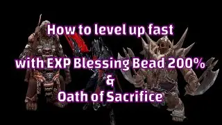 Zeniba&acute;s Guide - how to level up fast with 