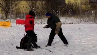 Ной*с Хоранд ШАМБАЛА, 9 мес.