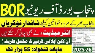Punjab Board of Revenue Jobs 2025 | How to Apply for BOR Jobs | Latest Government Jobs 2025