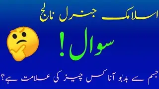 urdu quiz /Islamic quiz / common sense paheliyan / Islamic questions and answers in urdu