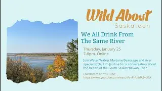 We All Drink From the Same River