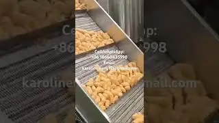 Automatic continuous frying machine fryer for chips cracker snack pellet food #fryer #fryingmachine