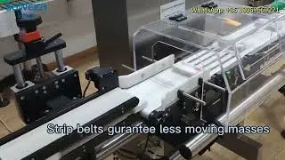 High Speed Checkweigher for Box Stable Dynamic Conveyor Weight Checker