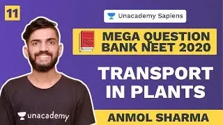 Mega Question Bank | NEET 2020 | L 10 Transport in Plants | Biology | Anmol Sharma