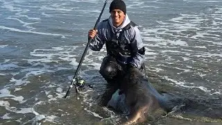 Catching a MONSTER stingray on the west coast while snapper fishing.#Fishing #NewZealand 
