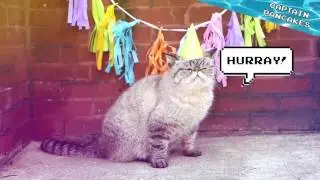 Cats score win vs bad tuna!