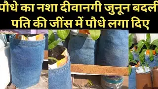 Jeans se gmle banae || reuse old items into pots .