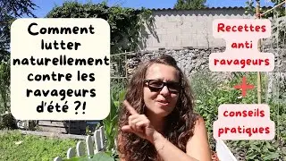 Comment lutter contre les ravageurs d'&eacute;t&eacute; naturellement?&nbsp;#potager #jardinage #gardening #garden
