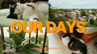 OUR DAYS 2: Sleepy Coco | Repotting Our Only Plant To A Larger Pot | Usual Days In Cebu, Philippines