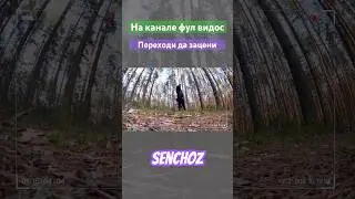 Новый видос на канале ! Предлагаю заценить #селигер #миртрудмай #phonk #озеробайкал