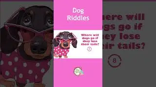 Dog Riddle