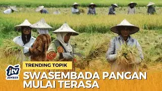 [LIVE] HARGA TURUN, BELANJA LEBIH HEMAT