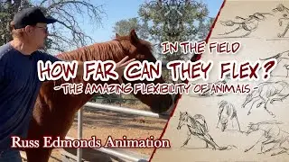 How Far Can They Flex? - The Amazing Flexibility of Animals for Animation / Russ Edmonds