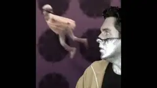 Captain Disillusion OST: Flying Girl