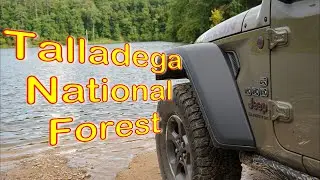 Exploring Talladega National Forest