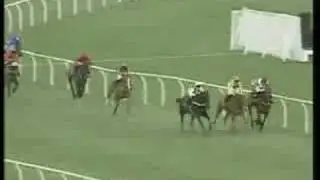Viking Flagship 1994 Queen Mother Champion Chase