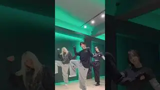 Zoo - SHAKIRA 🐰🦊 #zootopia #zoo #dance #challenge
