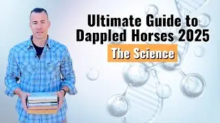 Ultimate Guide to Dappled Horses: Turn On Your Horse's Genes