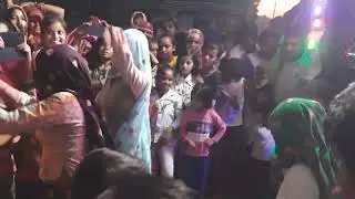 meena dace kff. gsib