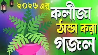 ২০২৬ এর কলিজা ঠাণ্ডা করা গজল। শিল্পী তৌফিক আলম। MD Munim।