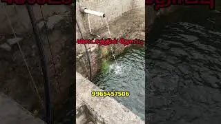48லட்சத்தில் தோப்பு+#sale #coconut farm#lowbudjet #farmland #agriculture #below20lakh #vairal