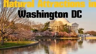 TOP 15. Natural Attractions in Washington DC - Nature, Parks, Gardens