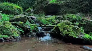 4K-HDR | Tranquil River Water Sounds for Sleep & Calm | Nature Ambience for Stress Relief Quiet Rest