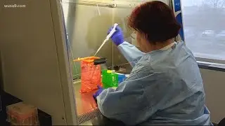 Why isn't DC testing more people for the Corona-19 virus?