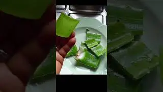 How to use aloe Vera as leave in Conditioner for Natural Hair. #aloevera #aloeveragel #naturalhair