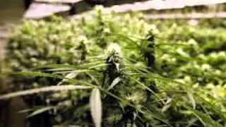 Rap Instrumental/Hip Hop Beat #156