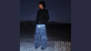 P1NK P4NTH3R