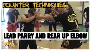 Grandmaster Chai Sirisute and Kru Chris at Maryland Thai Boxing &ndash; Lead Parry and Rear Up Elbow