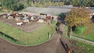 Paardenrusthuis van der Kruis 2016 10 30