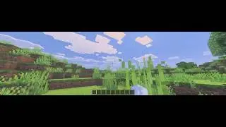 The beauty of Minecraft widescreen...